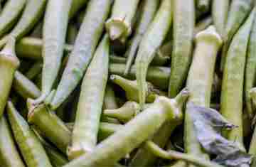  Garantia-Safra: veja lista dos que receberão pagamento em abril 